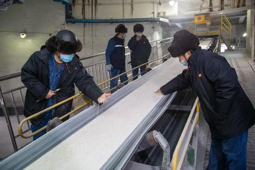 化肥廠順利完成第二批含海藻酸尿素生產訂單，監控設備保障高效運行